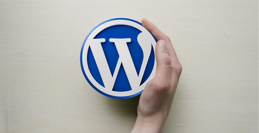 wordpress web development