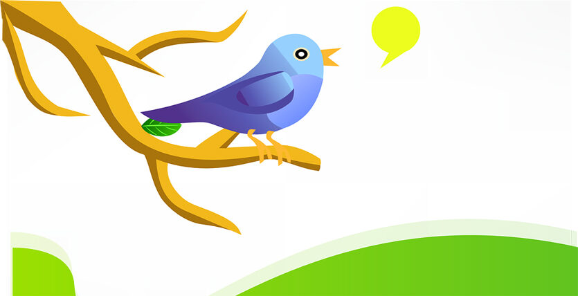 twitter marketing tips