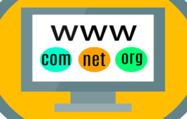 domain registration tips