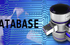 database in WordPress