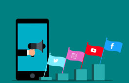 social media management services